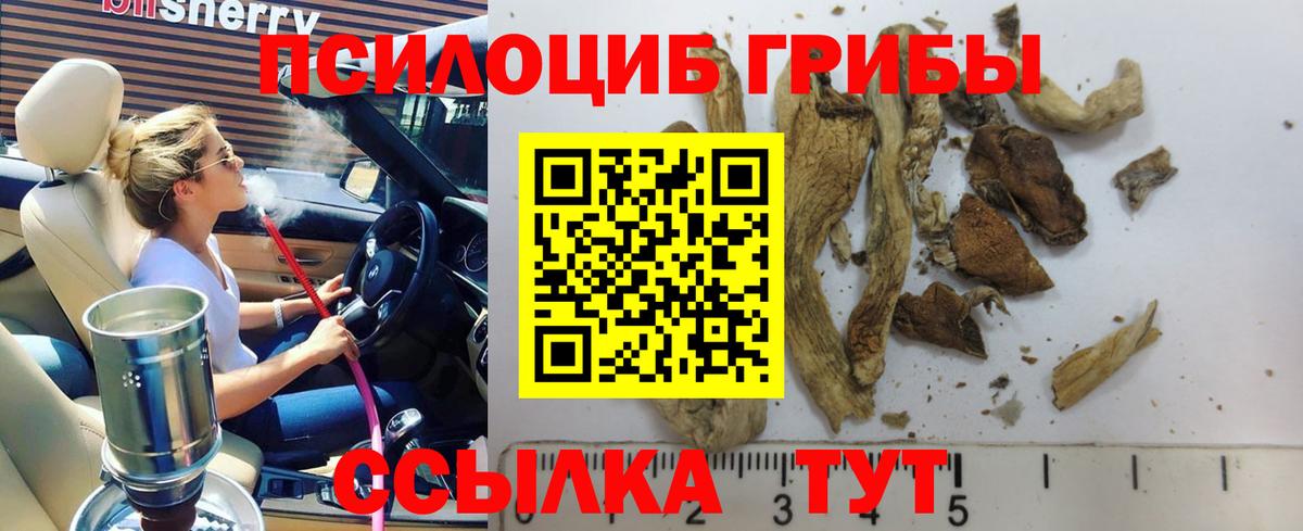 Галлюциногенные грибы Cubensis Комсомольск-на-Амуре