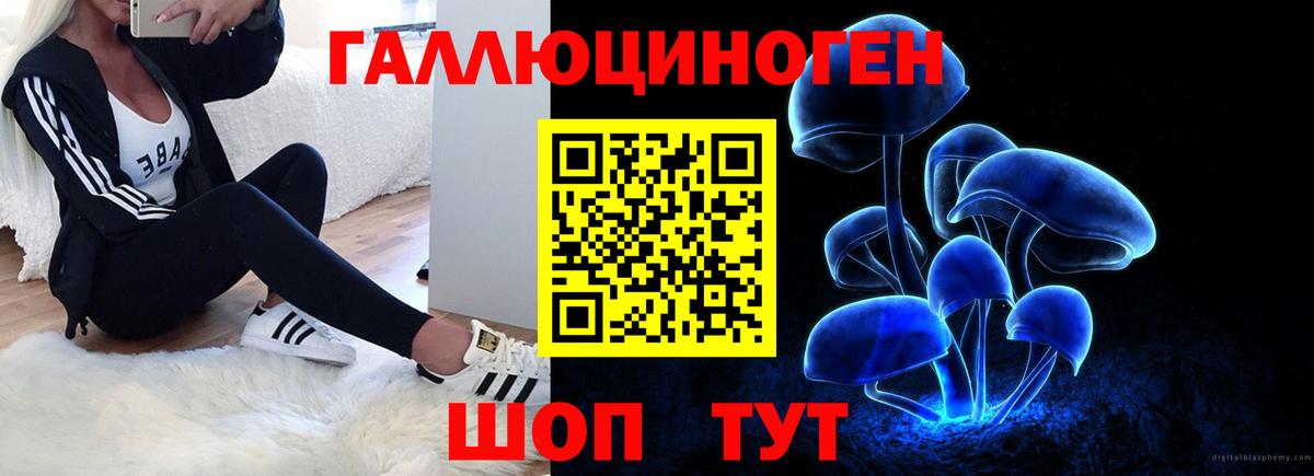 Комсомольск-на-Амуре  продажа наркотиков  Вход с VPN  Псилоцибиновые грибы Psilocybine cubensis 
